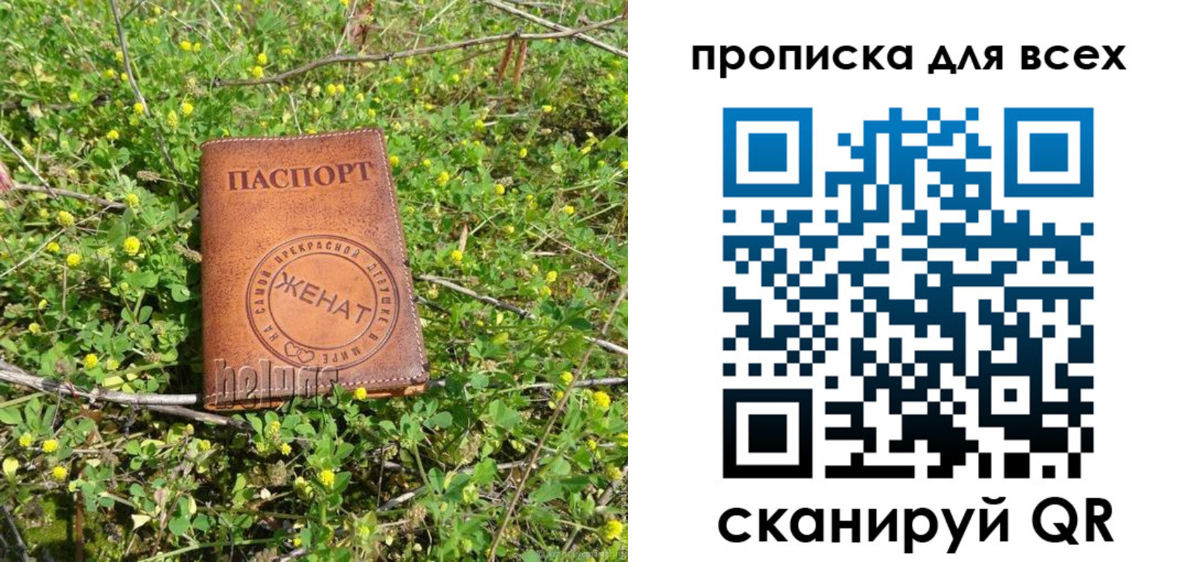 прописка поиск в Новороссийске